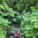 2024.07.20.21 토일 지리산 반야봉 산행후기