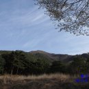 보현산 약초마을 이미지