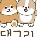 감동이네 수제간식 이미지