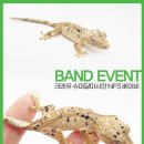 크레유