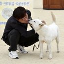 더봄애견 이미지