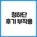 거  청 | 청하단 내돈내산 후기 효과 복용법 특징 총정리