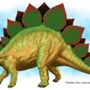 스테고사우루스-1 이미지