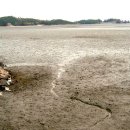 바다부동산공인중개사무소 이미지