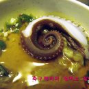문어오빠 Daum카페