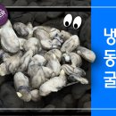 수산냉동 이미지