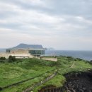 촌촌해녀촌 이미지