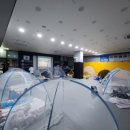 삼송백호태권도장 이미지