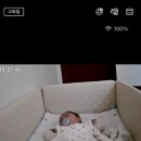 토브앤카라 이미지