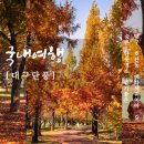 메타세쿼이아길 공중화장실 이미지