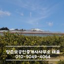양준모공인중개사사무소태솔 이미지