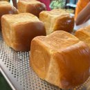 라크슌 | 2025년 9월 일상 - 이번엔 호치민으로 인생 두번째 베트남 여행가고 🚀 맛있는 음식 더 많이 먹고 😋 제빵...