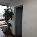 밤가시연세소아청소년과의원 이미지