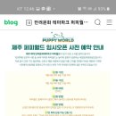 월드애견 이미지