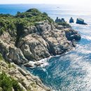 나무새 관광농원 이미지