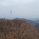 축령산편백나라 이미지