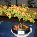 삼서면사무소 이미지