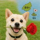 RoseDay 이미지