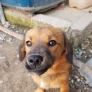 해인들농장 이미지