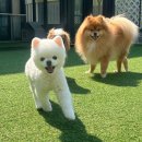 헬로우버디 이미지
