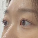 네일블라썸 | ✨ 구로디지털단지 블라썸 속눈썹네일 방문 후기