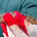 아주낚시민박 이미지