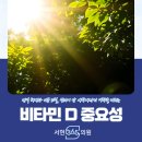 분당백현-D-15 | [햇빛비타민, 비타민D가 우리 몸에 미치는 영향] 분당 서현365의원에서 알려드립니다