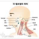 스킨바지축점