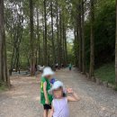 상소동 산림욕장(하) | 상소동산림욕장 아이랑 재방문 후기 | 대전 숲놀이터 추천