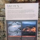 파크필드 | 제주 파호이호이 라바필드 파크 카페 후기