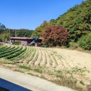 박찬기공인중개사사무소 네이버블로그