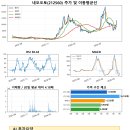 네오오토