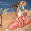 로뎀나무아래 이미지