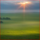 작은꿈들 이미지