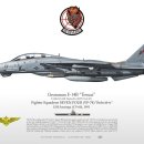 F14 이미지