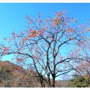 숯방마을 이미지