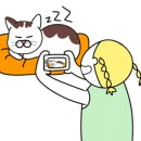 공원옆 동물병원 이미지