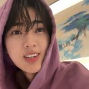 최강아지 이미지