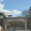 국제수산물도매시장 시장회관동 | [서울] 메이필드 호텔 호캉스 후기🏘️🔮 - 메이필드 슈페리어 빌라 객실, 메이필드 수영장, 빌라 취사가능...