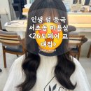 서초동 미용실 : 교대 펌 잘하는 곳, 26도헤어 교대역점