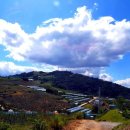 바람이 좋은 저녁 이미지