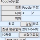라파엘동물병원 이미지