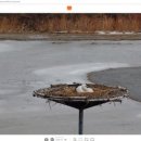 서산버드랜드 이미지