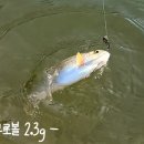 취병낚시터 이미지