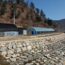 월학농장 이미지