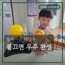 별자리 | 태양계교구 지오사파리모터 태양계천장 별자리까지 후기