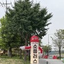 원앙어린이공원 앞 네이버블로그