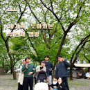 캠핑포유펜션 | [가평:제령포레스트캠핑장] 어린이날 주간 가족캠핑 후기⛺️🌿