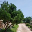 박씨축산 이미지