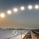 종일1 태양광발전소 이미지